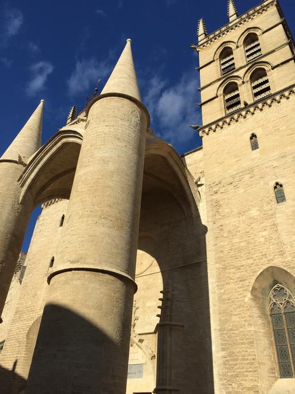 مونبيلييه Appartement Vieille Intendance الغرفة الصورة